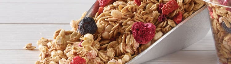 a scoop of freeze dried strawberries, a freeze dried blueberry and granola